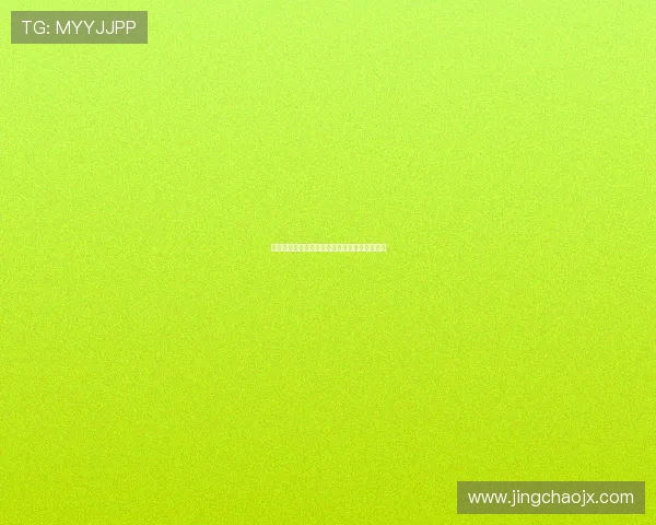 男孩与世界：一场关于成长、探索与爱的交响曲